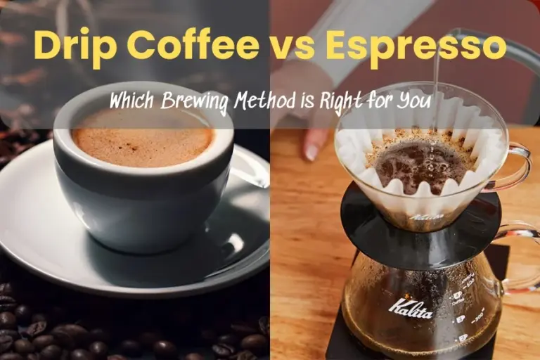 Drip Coffee vs Espresso: Which Brewing Method is Right for You?