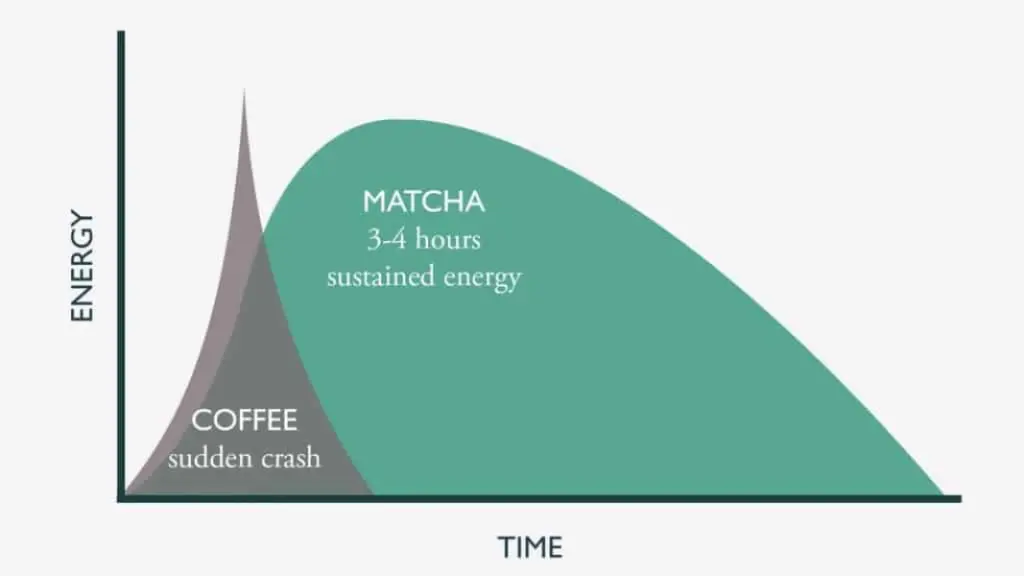 Caffeine impact chart in matcha vs coffee