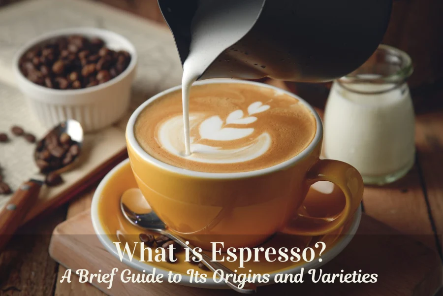 What is Espresso- A Brief Guide to Its Origins and Varieties